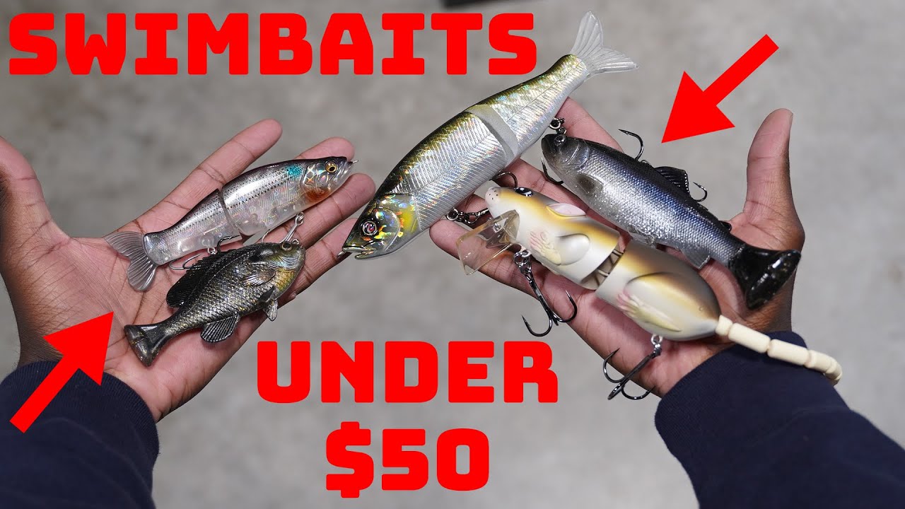 Top 15 Big Swimbaits For Beginners That Are Under $50! Beginner