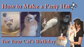 How to Make a Party Hat for Your Cat's Birthday