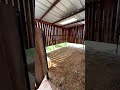 #Equestrian #HorseCare