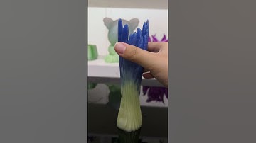 Zephyr Vase by 3dprintbunny Printed on KINGROON KP3S Pro S1