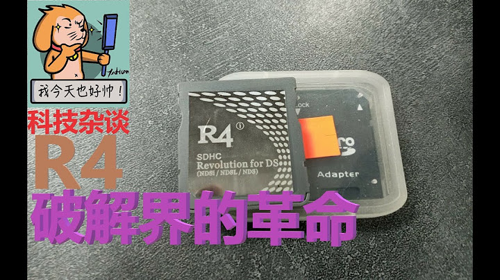 【科技雜談85】任天堂NDS掌機發展史第四期——R4,改變世界的燒錄卡（NDS歷史） - 天天要聞