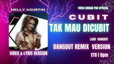 Cubit Tak Mau Dicubit | Nelly Agustin | Dangdut Remix | Video Lyric