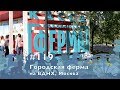 #119 Городская Ферма на ВДНХ, 03.08.2019