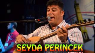 seyda Perinçek -  Çiyayê mazi  & Deriklim Resimi