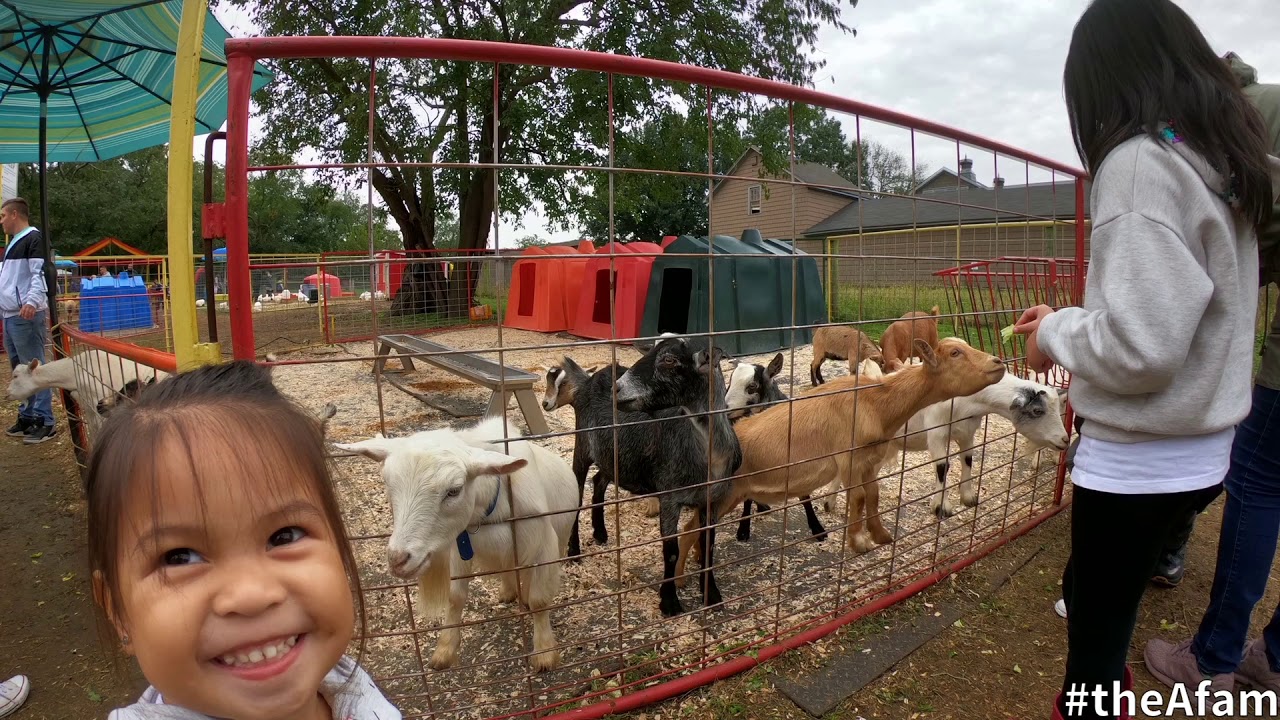 Queens County Farm Museum Halloween Corn Maze YouTube