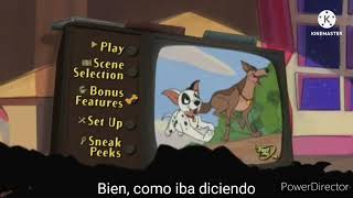 Madagascar Candyman Fast