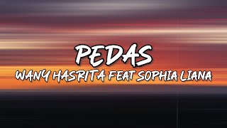 Wany Hasrita - Pedas (feat Sophia Liana) Lirik