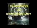 Der Zauberlehrling - Johann Wolfgang von Goethe &quot;Gedichte in Musik&quot;