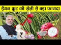 Dragon Fruit lके पीछे क्यों पड़ी है सरकार? क्या है इसमें खास? | Dragon Fruit Farming | Fruit Subsidy