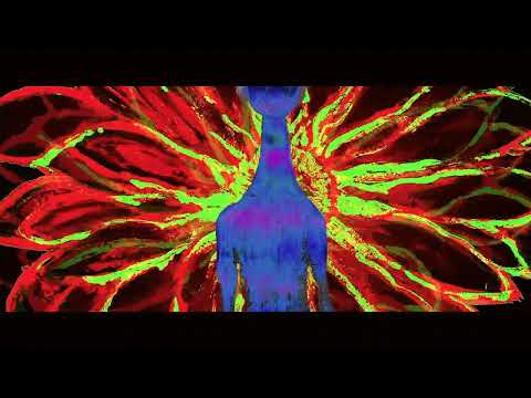 新歌预告｜柳爽四专《丑花》完结篇