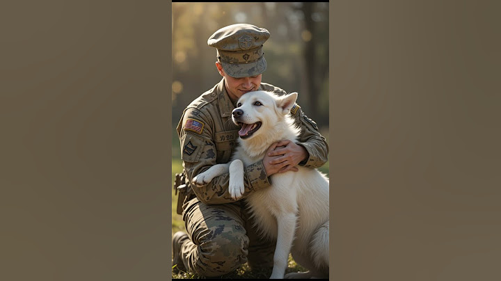 Loyal Dog Waits for His Soldier to Come Home 🇺🇸🐶 #animalrescue #doglover #ai #dogowner #pets