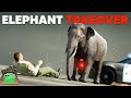 MY ELEPHANT GOES ON A RAMPAGE! | PGN # 245 | GTA 5 Roleplay