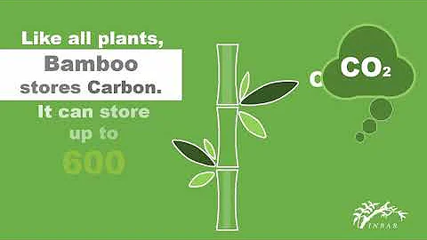 #ThinkBamboo - Bamboo for Sustainable Development - DayDayNews