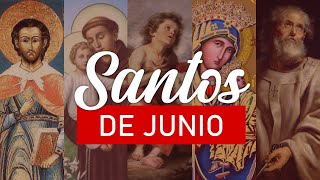 Santos del mes de Junio