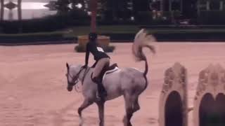 Клип конный спорт (хит моего лета)(без повода)