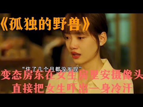 孤独的野兽：变态房东在女生的房间里安了摄像头，直接把女生吓出一身冷汗！