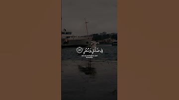 ﴿يوم يسحبون في النار على وجوههم ذوقوا مس سقر﴾ سورة القمر اسلام صبحي