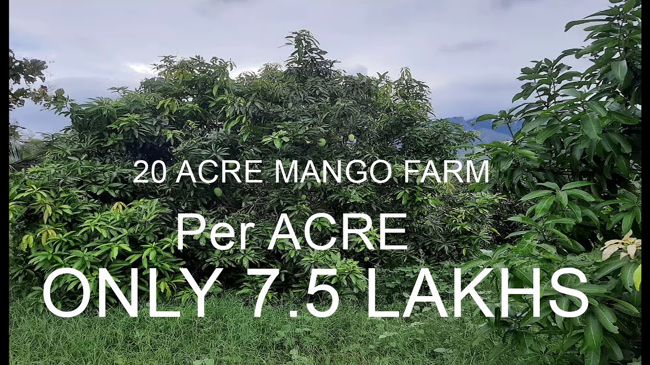 208. THENI DIST. BODINAYAKANUR 20 ACRE MANGO, COCONUT, GOOSE BERRY FARM
