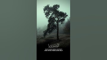 سورة العنكبوت | الآية ٥٩ - ٦٠