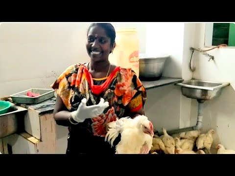Women slaughter chicken with Surgical Gloves 🧤