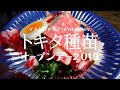 【トキタ種苗】グストイタリア10th Anniv.オープンデー２０１９に行ってきた！！