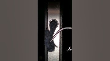 Cleaning iPhone audio jack #satisfying #waitforit #asmr