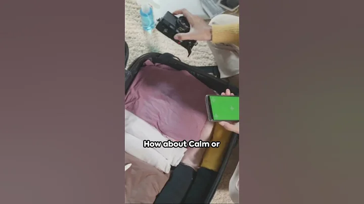 Holiday Travel Hacks: Stress-Free Journey