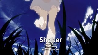Shelter