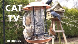 Sunday Morning Brunch for Backyard Birds and Squirrels - 10 Hour CAT TV for Pets - Apr 14, 2024 by Handsome Nature 3,350 views 12 days ago 10 hours