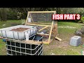 The Fish Farm Gets Plants (Fish Farm Part 3)