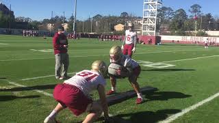 Day 2: Sights and sounds from FSU football spring camp 2019