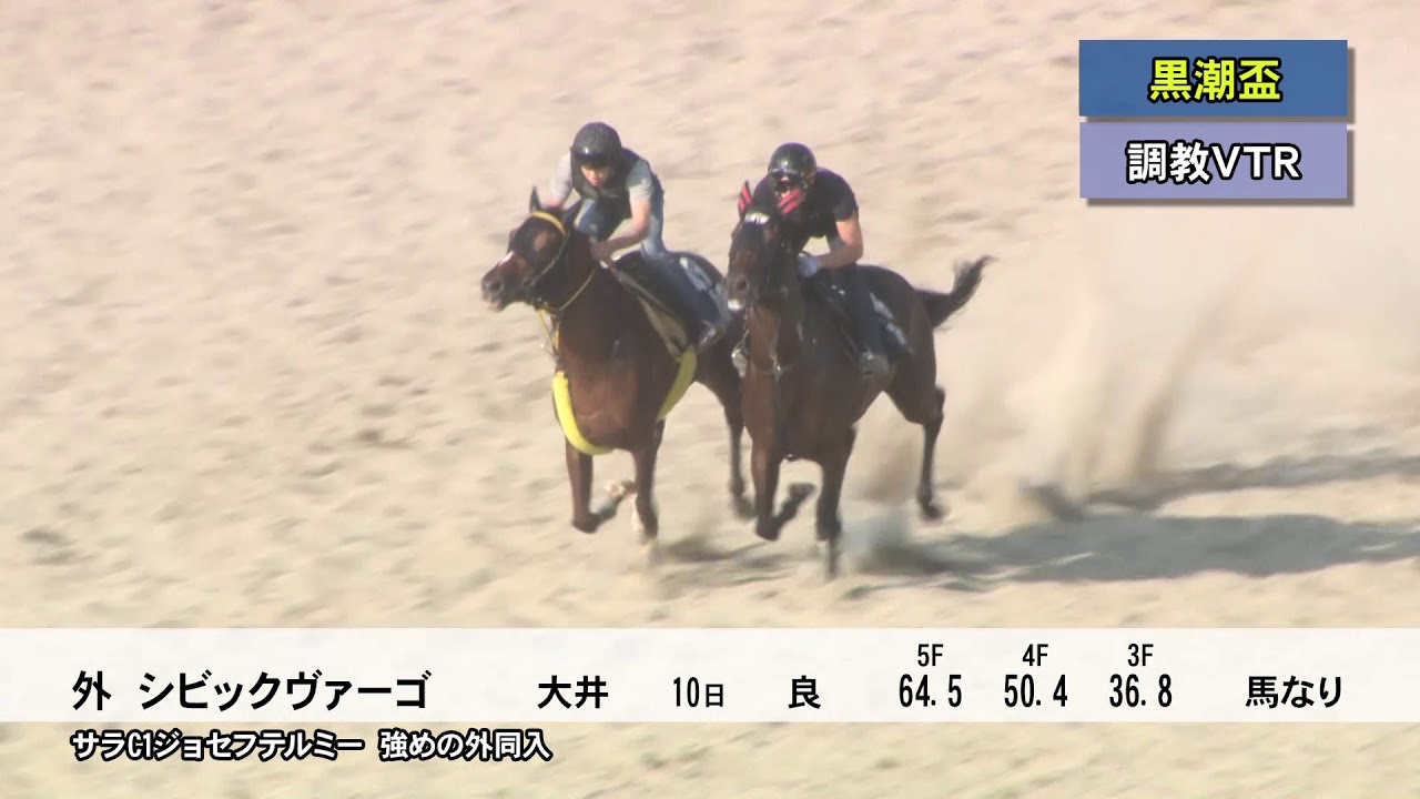 第53回 黒潮盃 Sii 重賞レース レースと日程 東京シティ競馬 Tokyo City Keiba