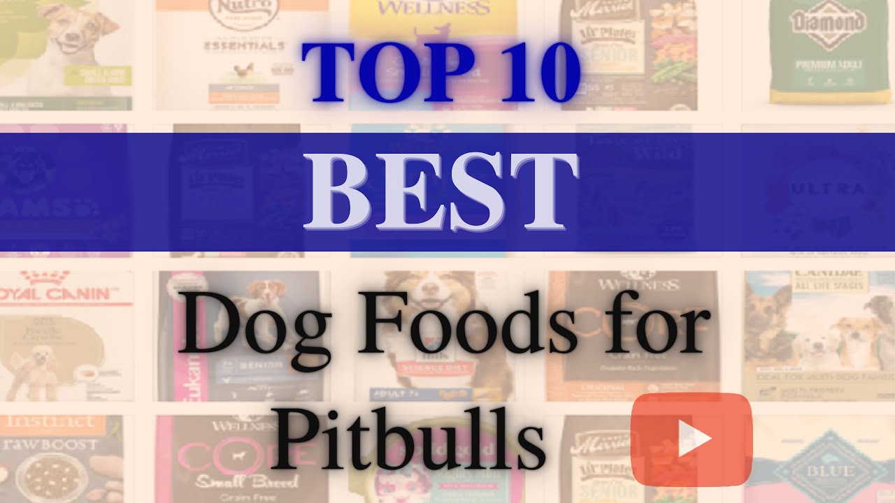 Top 10🐶 Best Dog Foods for Pitbull(UPDATED) YouTube