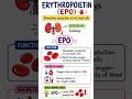 Erythropoietin (EPO) | Red Blood Cell Hormone | Easy Biology 🩸 #erythropoietin #hormones #biology