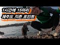 카라반 끌고 제주도 와서 구멍치기 성공했습니다