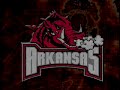 2002 Arkansas Razorback Highlights