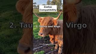 Which zodiac signs are most compatible?
