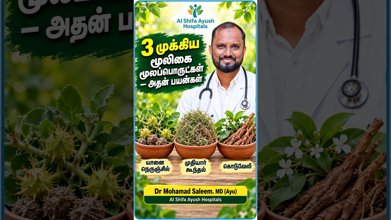 யானை நெருஞ்சில் | முதியார் கூந்தல் | கொடுவேலி  | 3 பாரம்பரிய மூலிகைகளின் சிறப்புகள்