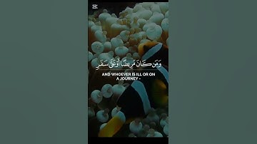 شهر رمضان آيات بينات من الذكر الحكيم #اكسبلور #راحة_نفسية #المصحف #لايك