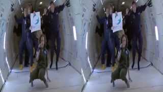 ZeroG 3D
