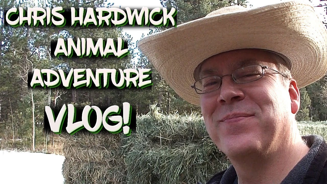 horseshoe bend Chris Hardwick Animal Adventure Vlog!