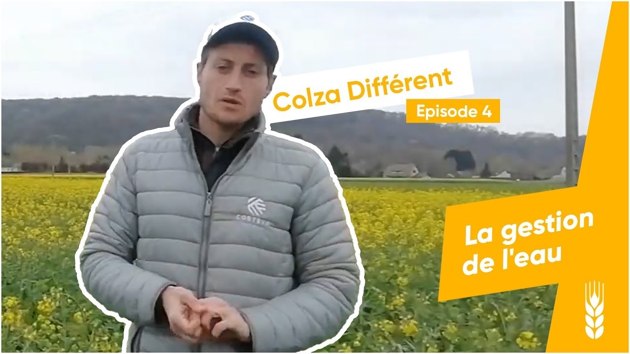 Gestion de l’eau en colza : quelles pratiques adopter ? | Colza Différent #4