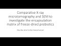 X-ray microtomography and SEM to investigate the encapsulating matrix of freeze-dried probiotics