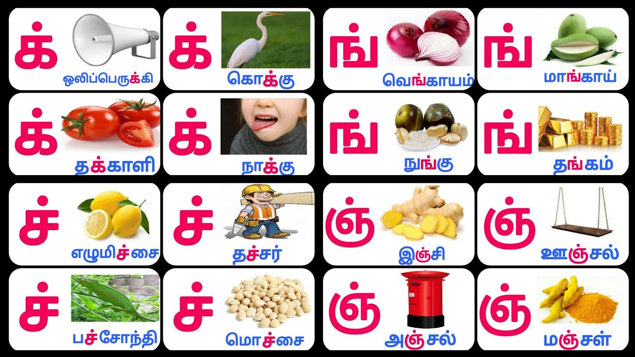 மெய் எழுத்துக்கள் வரும் சில சொற்கள் அல்லது வார்த்தைகள் || மெய் ...