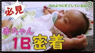 『必見』赤ちゃんの1日に密着　1日の生活リズム　生後5ヶ月 みはるんchannel