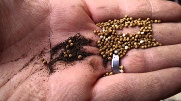 Why You Always Replace the Liquid Filter Drier in Refrigeration Repair Work