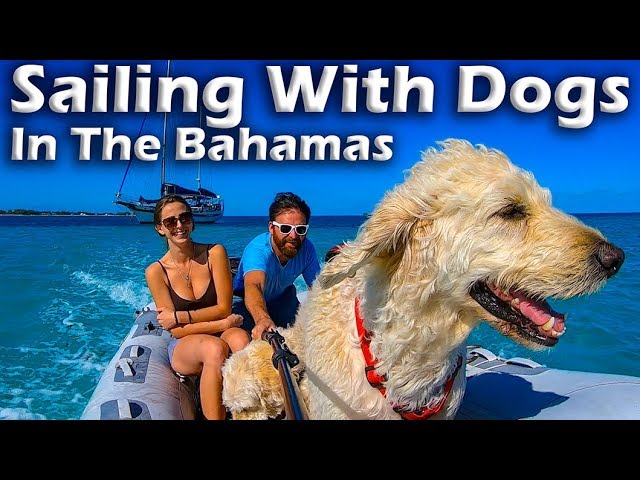 Sailing With Dogs in the Bahamas! S5:E12