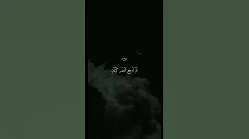 تلاوه خاشغه بصوت الشيخ ماهر المعيقلي ارح قلبك Shorts ماهر المعيقلي 