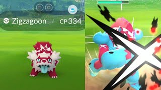 Galarian Zigzagoon community day