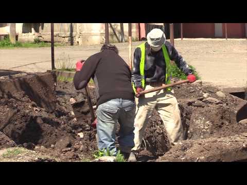 ზესტაფონის დასუფთავების სამსახურის მორიგი აქცია